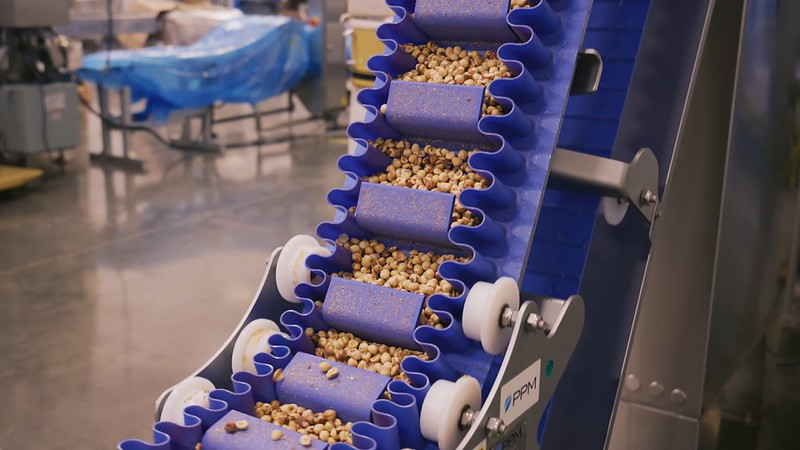 filberts on conveyor