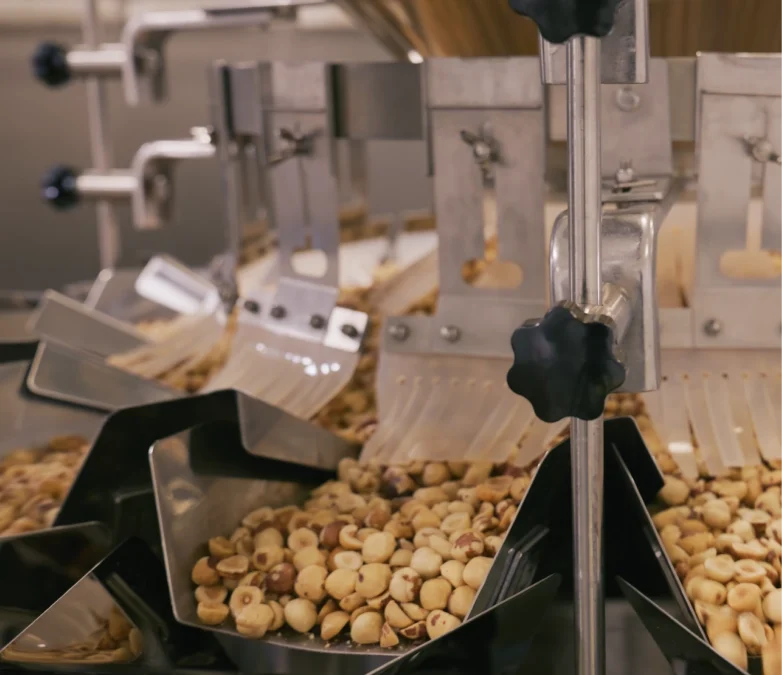Global Hazelnut Report